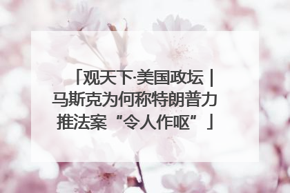 观天下·美国政坛｜马斯克为何称特朗普力推法案“令人作呕”